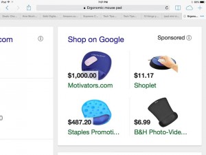Google Product Listing Ad Fail - PLA Fail